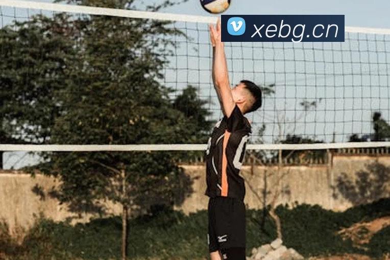 pg官网地址平台生态图